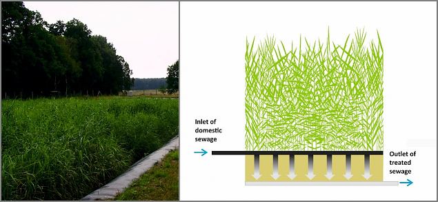 Natural wastewater treatment systems