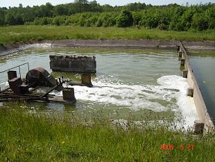 Lithuania, Leitgiriai